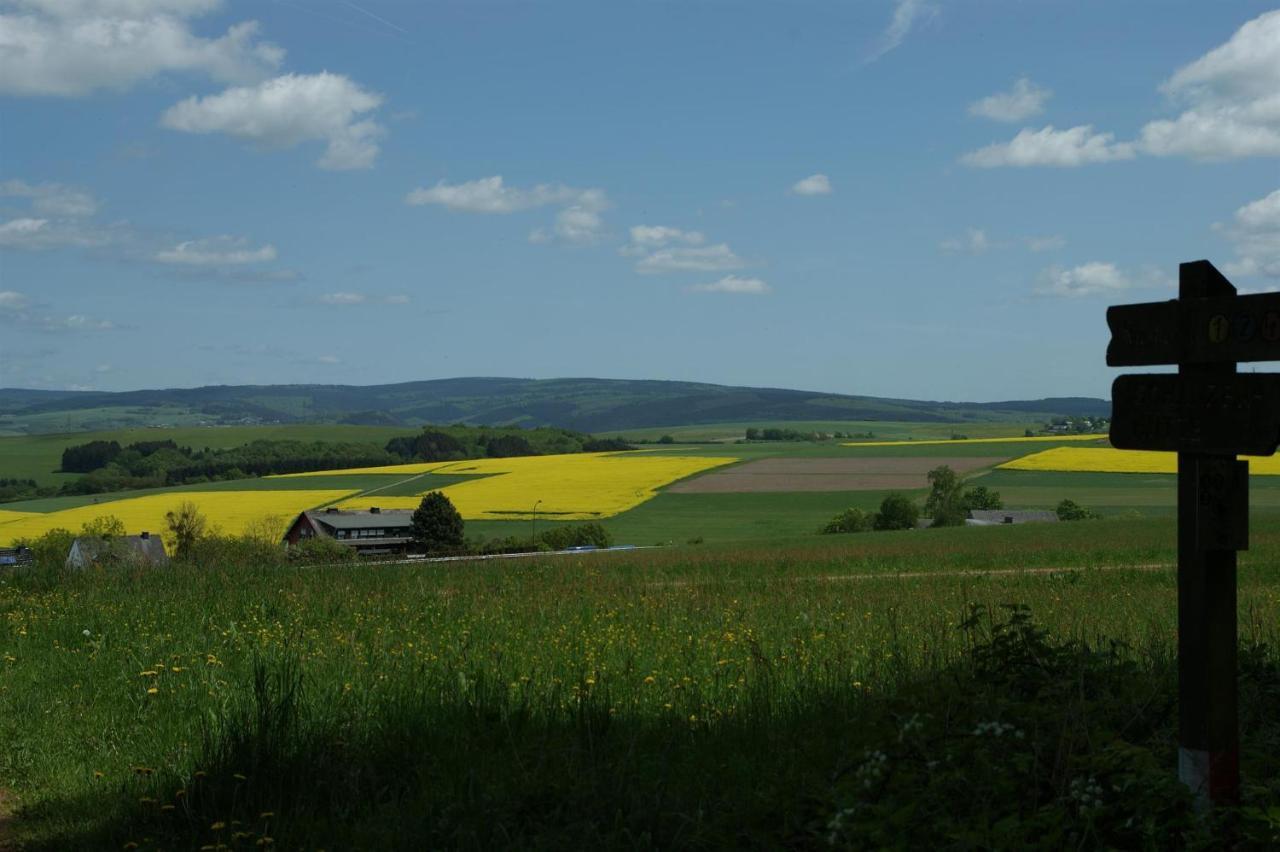 Klein'S Hochwaldscheune Pellingen Esterno foto